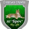 Дизайн этикетки или упаковки