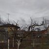 Виконую обрізку дерев,та кущів.