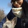 Передержка домашних животных
