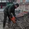 Спил и обрезка дерева.