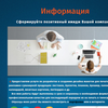 Создание дизайна сайтов