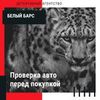 Проверка авто перед покупкой