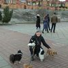 Погуляю с Вашей собачкой 