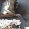 Вивезення будівельного та старих меблів