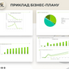 Розробка бізнес-плану для отримання гранту від держави