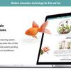 Дизайн сайта UI/UX