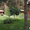 Ландшафтно-дизайнерские работы в Чернигове и области