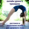 Онлайн тренировки с профессиональным тренером