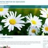 Создание сайта на WordPress