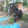 Спил деревьев 