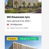 Front End (Landing page, portfolio, market)