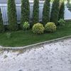 Покошу траву тримером , 50 грн за одну сотку!