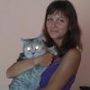Передержка собак и котов на время