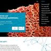 Разработаю Landing Page "под ключ"