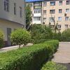 Создание живых изгородей