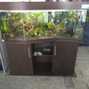 Аквариумы в интерьере