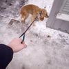 Доставлю по всей Украине