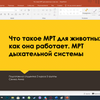 Создаю презентации для школы/университетов