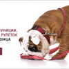 Ваш сайт узнают из тысячи ❤️
