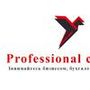 Professional company