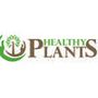 Компания HEALTHY PLANTS