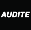 Компания AUDITE