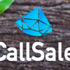 CallSale