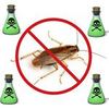 Помогу избавиться от тараканов в квартире