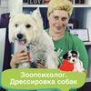 Дрессировка собак. Кинолог. Зоопсихолог. Киев 