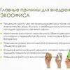 Создание презентаций в Power Point