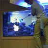 Обслуговування акваріумів