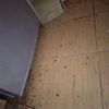 Уничтожение тараканов в Киеве