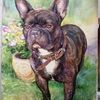 Портреты собак в технике акварельной живописи
