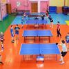 Настольный теннис для детей и взрослых