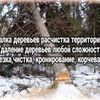 Удаление деревьев любой сложности, Расчистка территории 