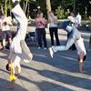 LeLeka Capoeira Group.